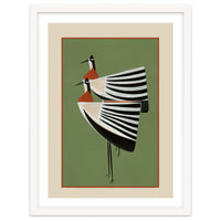 Striped Bird Pair