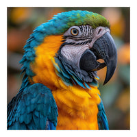 Blue And Yellow Macaw Parrot Close Up Portrait (Print Only)