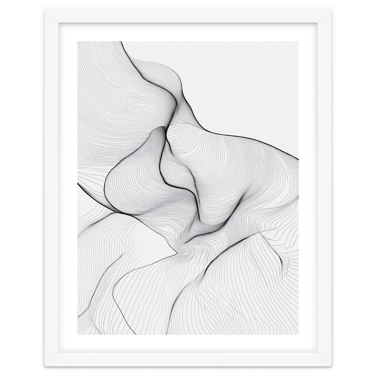 Abstract Black And White Flowing Lines Organic Form