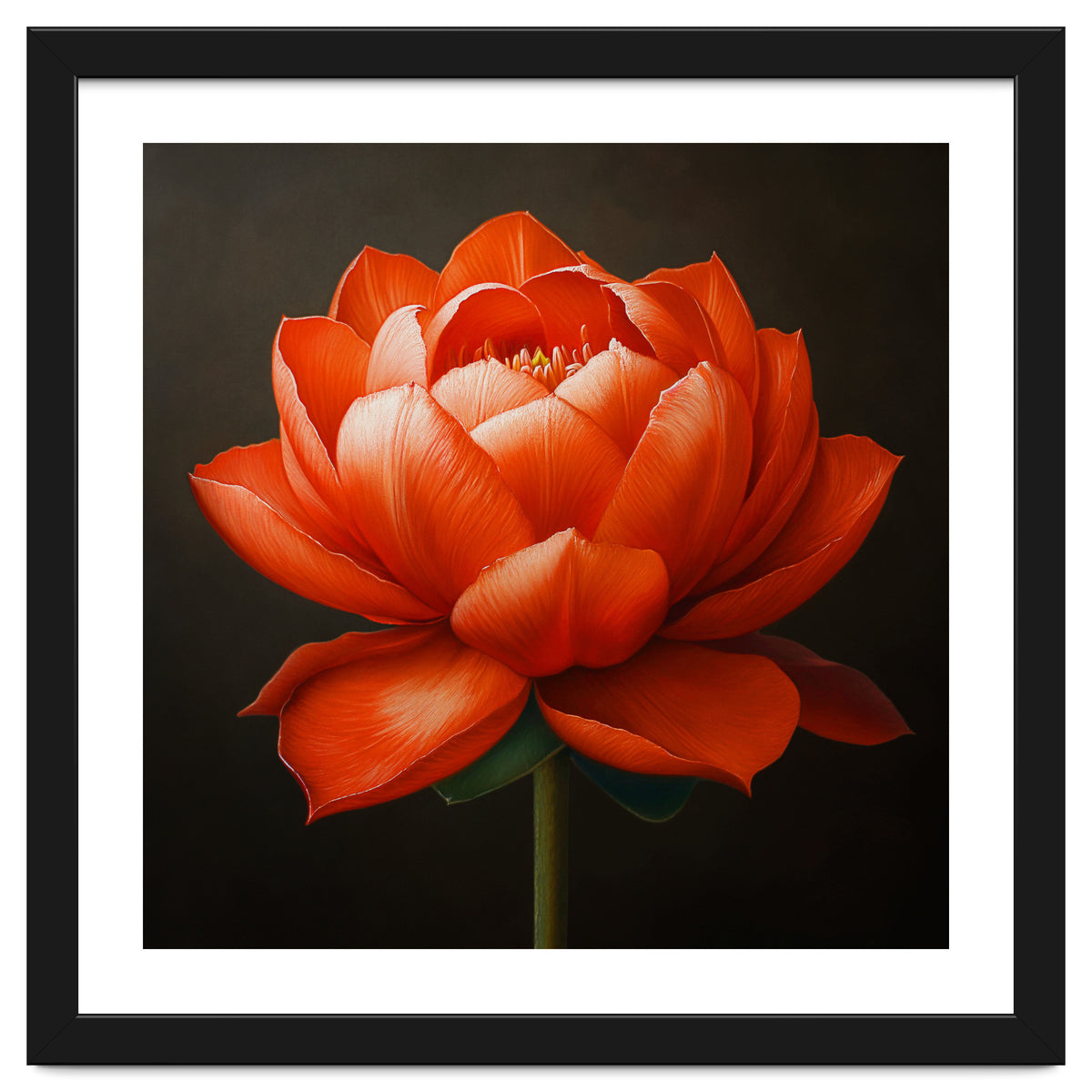 Double Lotus | Scarlet Solace