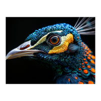 Close Up Of A Peacock Bird Head Eye (Print Only)