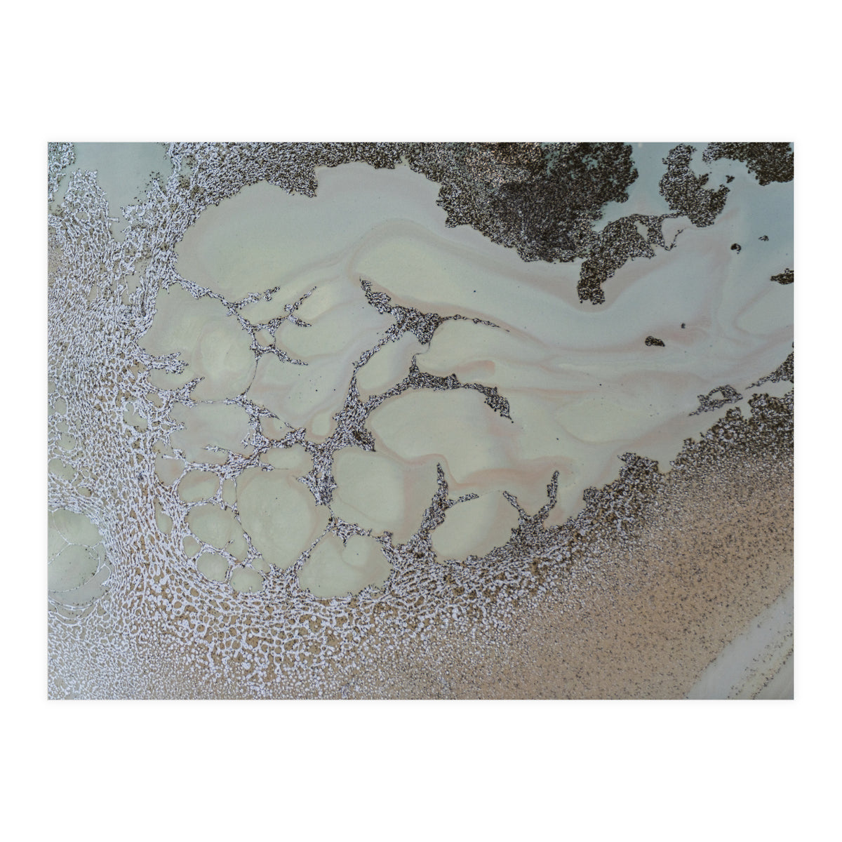 Shifting (Print Only)