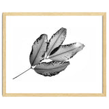 Branches and Leaves, 2016, 1 thumbnail