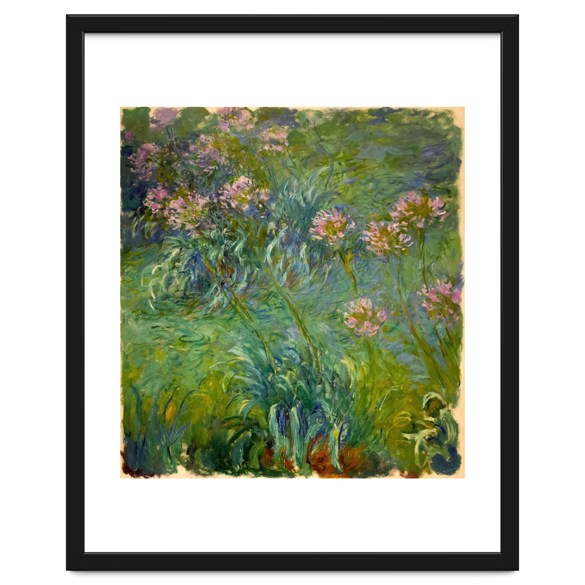Claude Monet (1840-1926). Agapanthus.