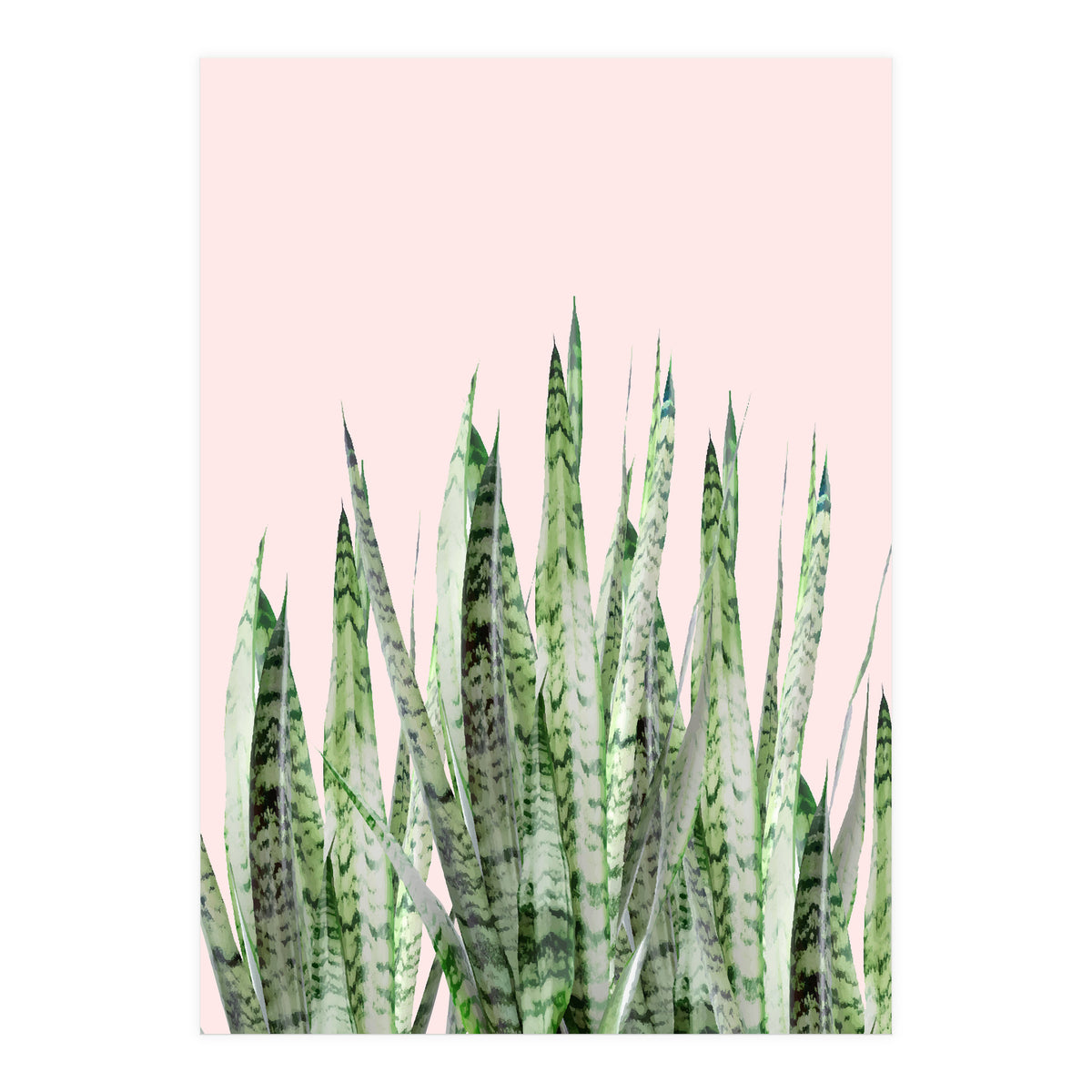 Botanical Balance (Print Only)