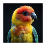 Vibrant Sun Conure Parrot Close Up Portrait (Print Only) thumbnail