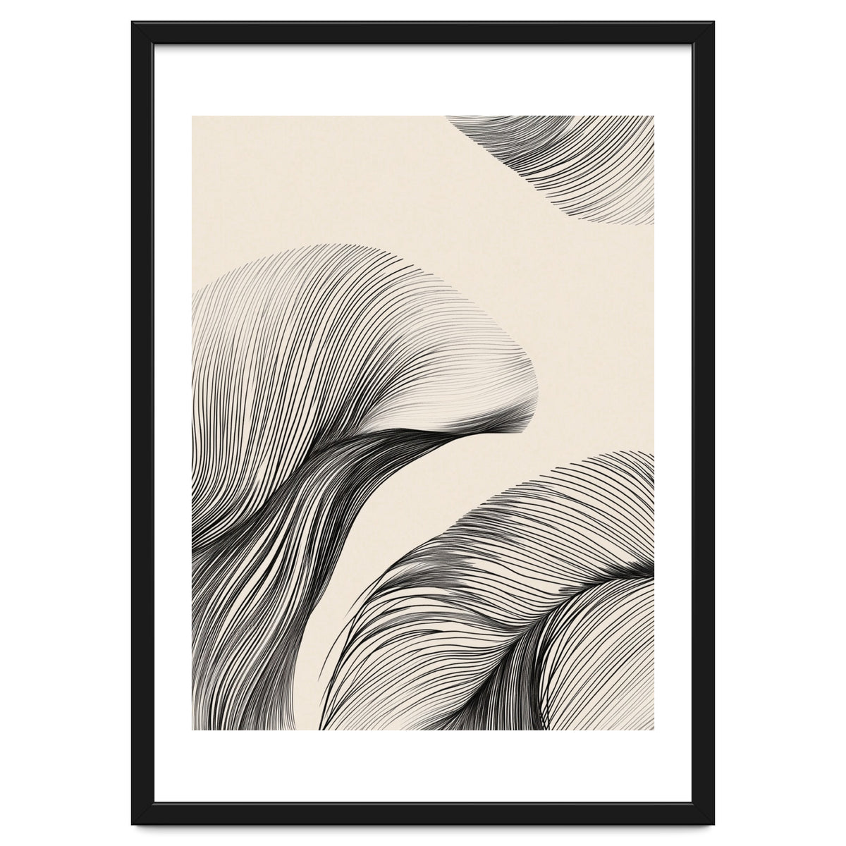 Black And White Flowing Lines Organic Shapes