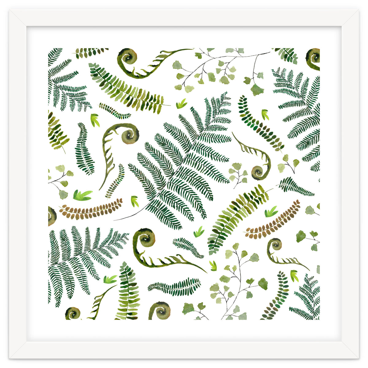 Spring Fern Pattern