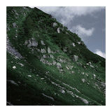 SKIN OF NATURE - WILD CLIFF (Print Only) thumbnail