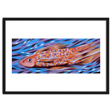 Little fish thumbnail