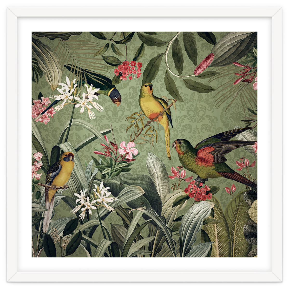 Jungle Bird Friends