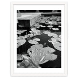 Lotus Pond | Black & White Portrait thumbnail