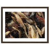 Fish01 thumbnail