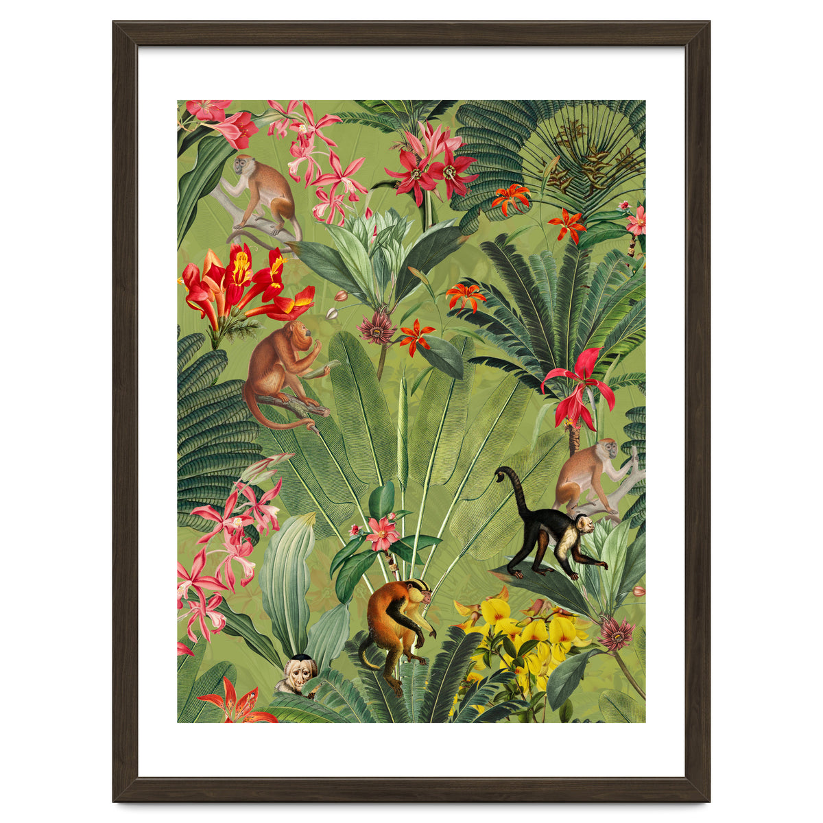 Monkeys In Tropical Jungle Paradise