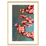 Pennants thumbnail