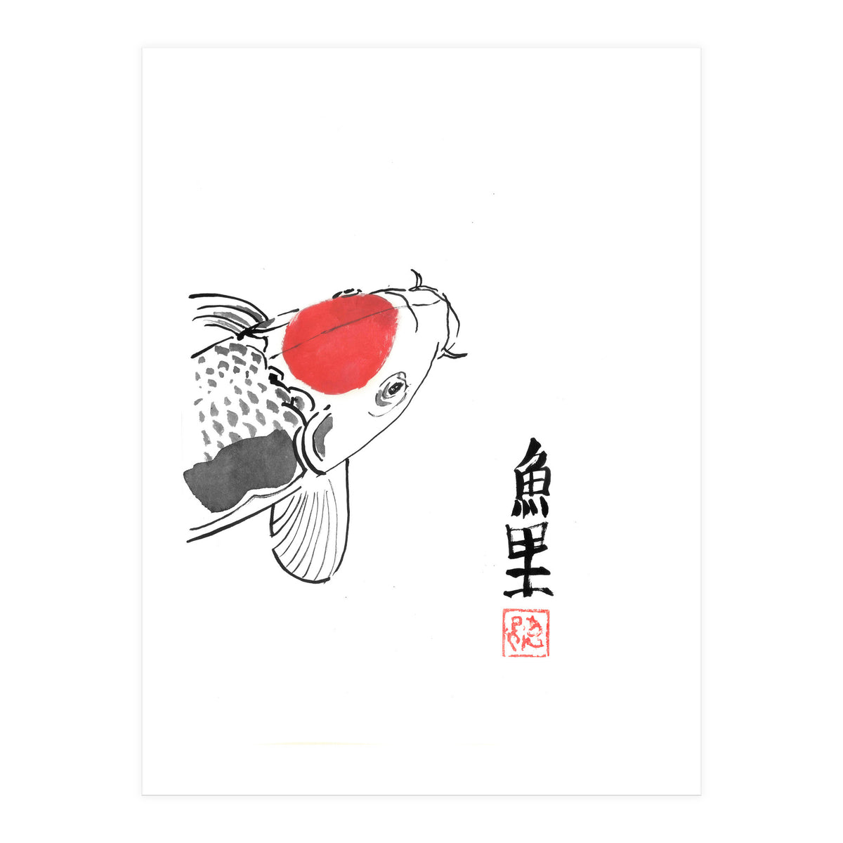 Karp Koi Close Up (Print Only)
