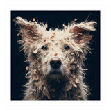 Old Dog 06 (Print Only) thumbnail