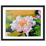 peony thumbnail