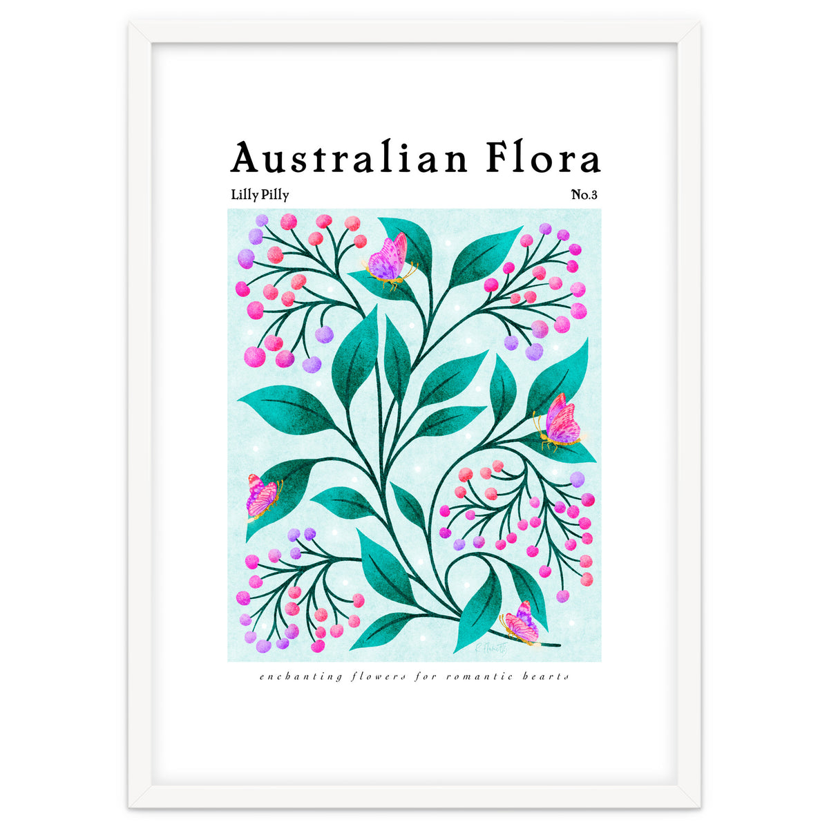 Australian Flora: Lilly Pilly