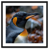King Penguin In Rain With Water Drops thumbnail