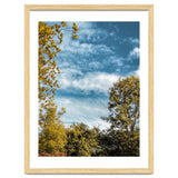 Autumn Evening thumbnail