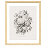 Currier & Ives – Rose of May (1870) thumbnail