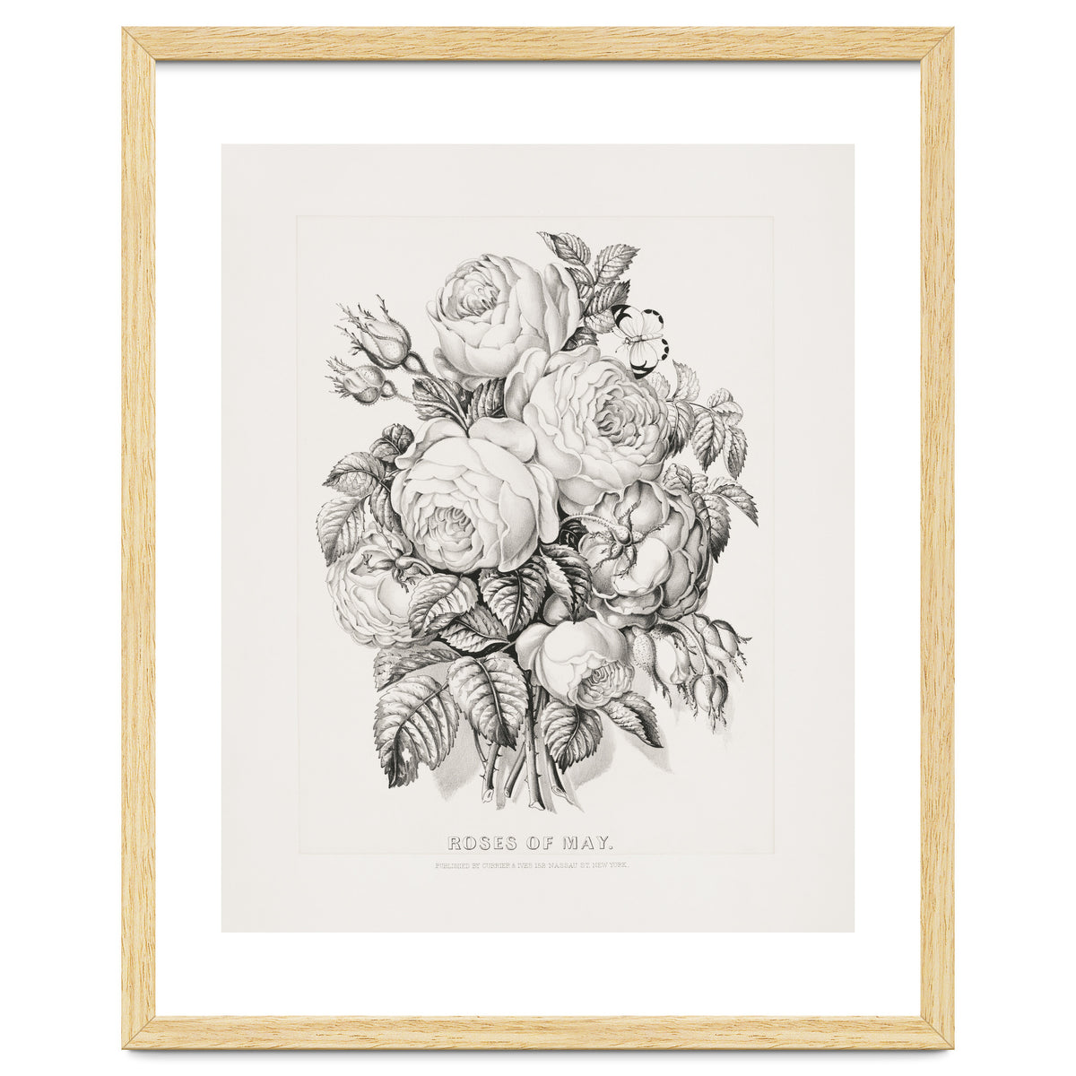 Currier & Ives – Rose of May (1870)