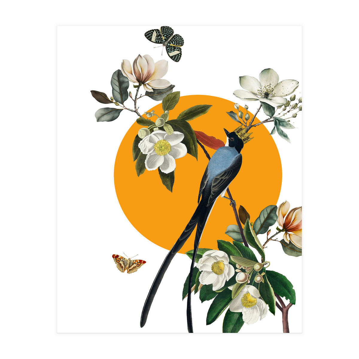 collage floral birds (Print Only)