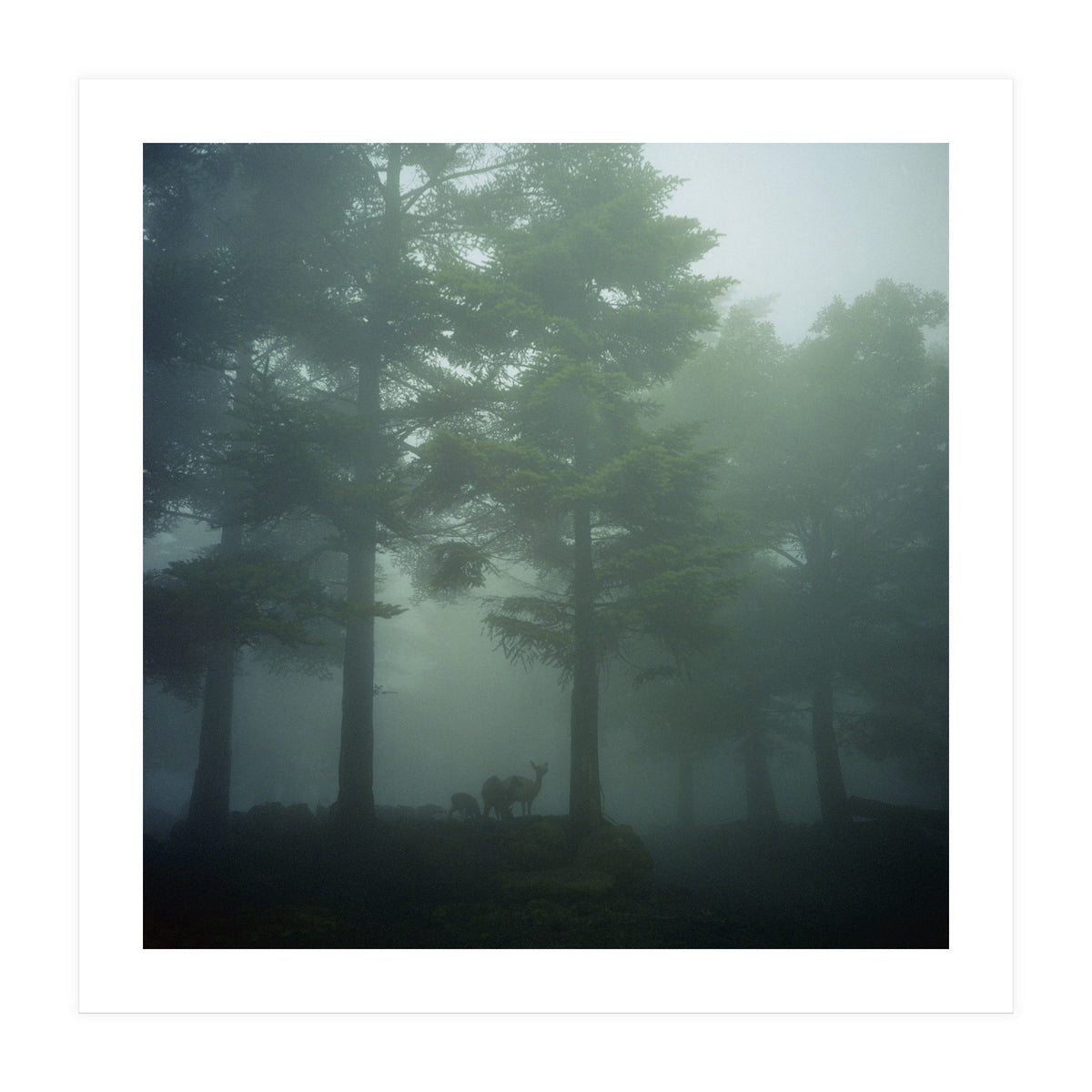 Silence of breath - 10 (Print Only)