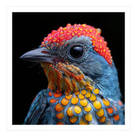 Close Up Of Colorful Bird With Water Droplets (Print Only)