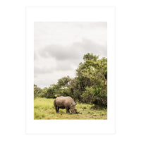 Rhino in Uganda (Print Only)