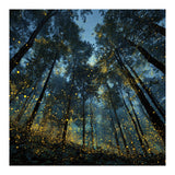 Celestial Forest Canopy with Swirling Golden Fireflies and Deep Twilight Blue Sky Digital Art (Print Only) thumbnail