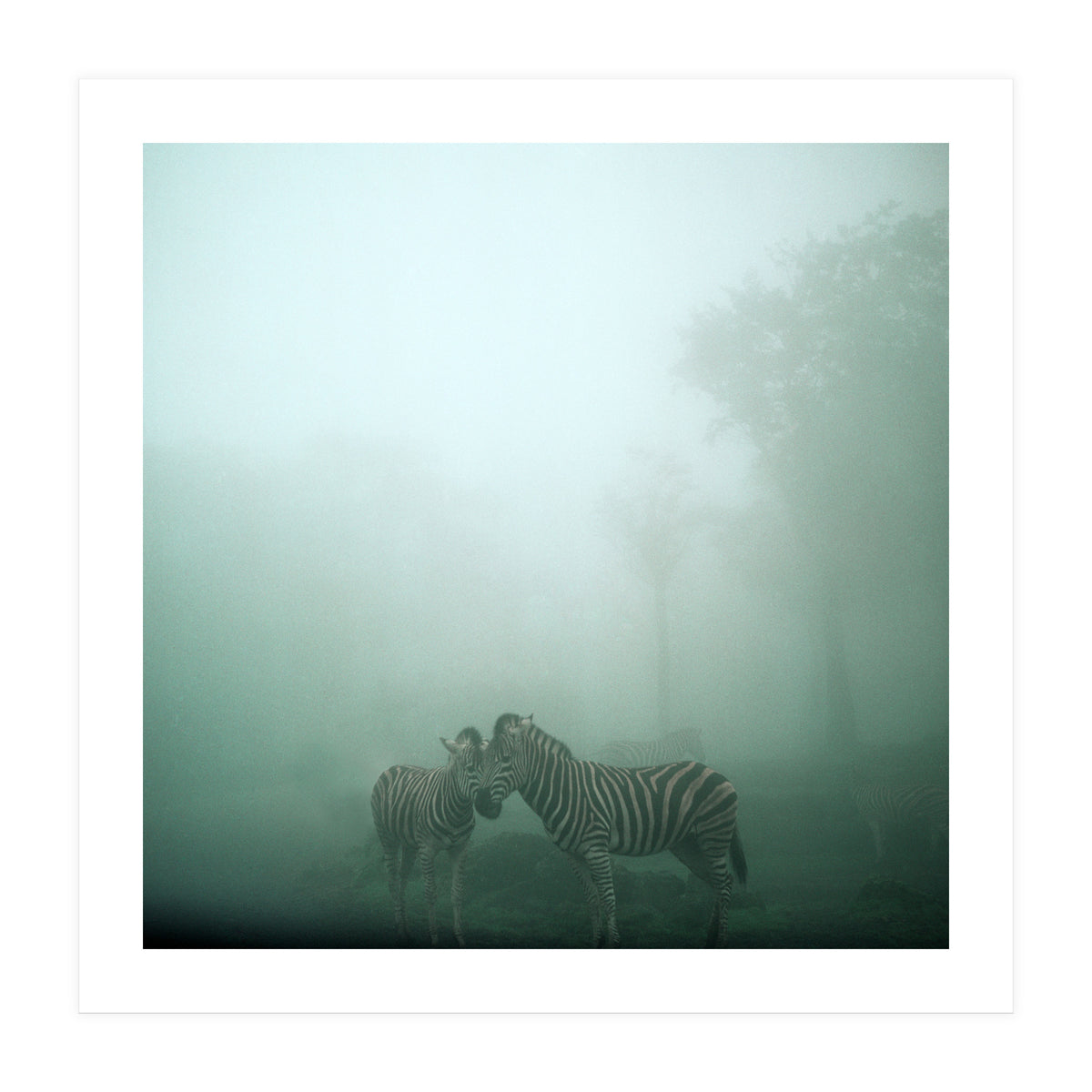 Silence of breath - 11 (Print Only)