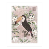 Exotic Bird Toucan (Print Only) thumbnail