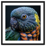 Close Up Portrait Of A Colorful Parrot's Face thumbnail