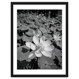 Hylas | Black & White thumbnail