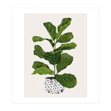 Fiddle Leaf Fig Tree Plant (Print Only) thumbnail