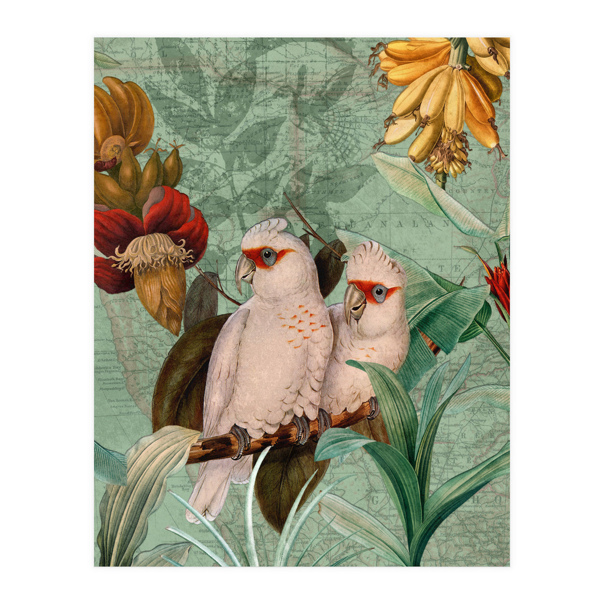 Green Cockatoo Exotic Bird Jungle  (Print Only)