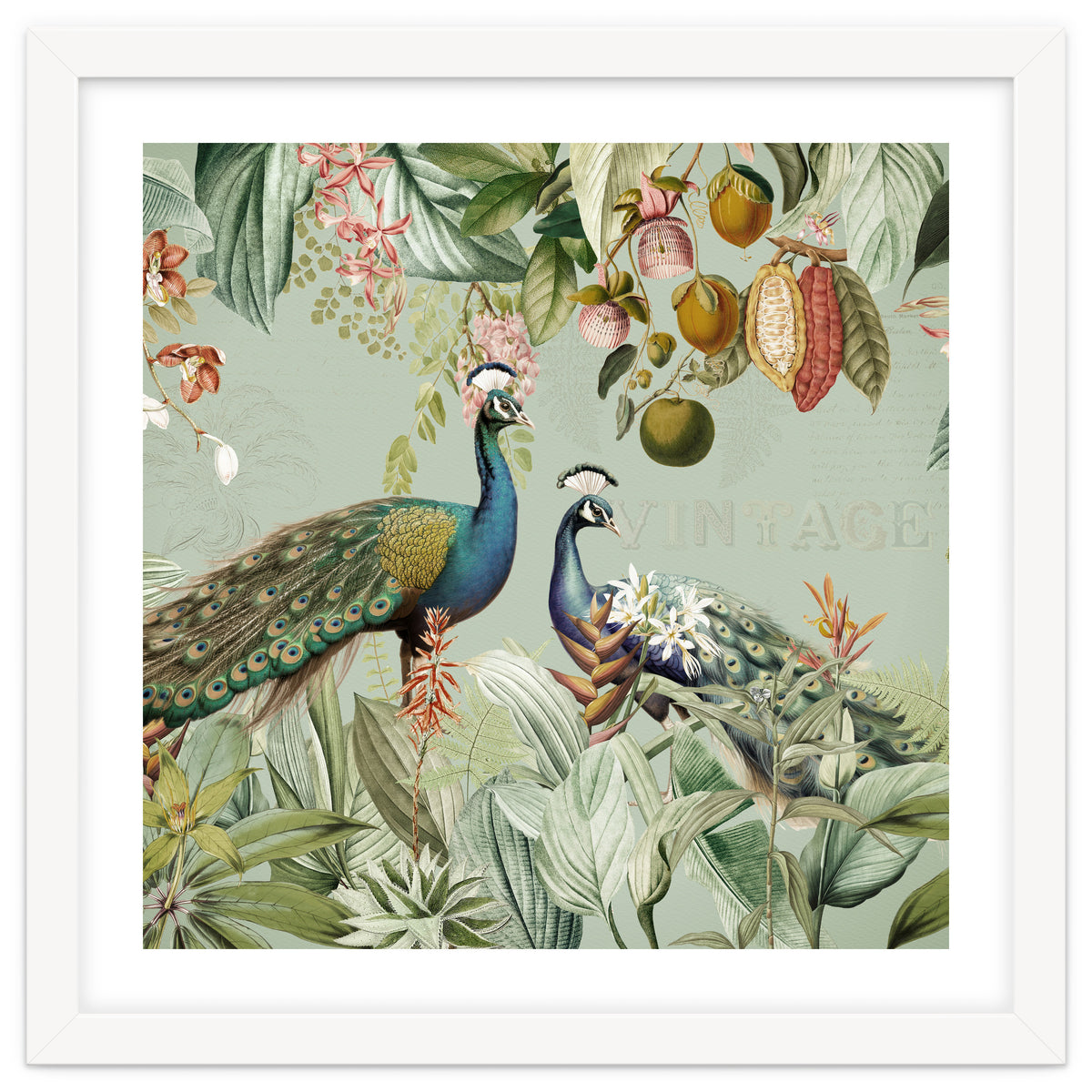 Vintage Exotic Asian Peacocks In Tropical Jungle Landscape