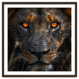 Majestic Lion Face Intense Orange Eyes Close Up thumbnail