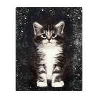 Bicolor Cute Kitten Portrait (Print Only)