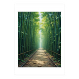 The Emerald Path: A Sun-Drenched Journey (Print Only) thumbnail