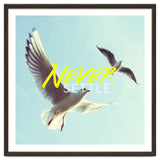 Never Settle thumbnail