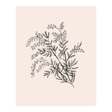 Acacia Botanical illustration (Print Only) thumbnail