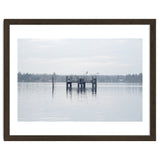 Birds rest in the Lake thumbnail