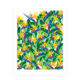 Summer Strelitzia (Print Only) thumbnail