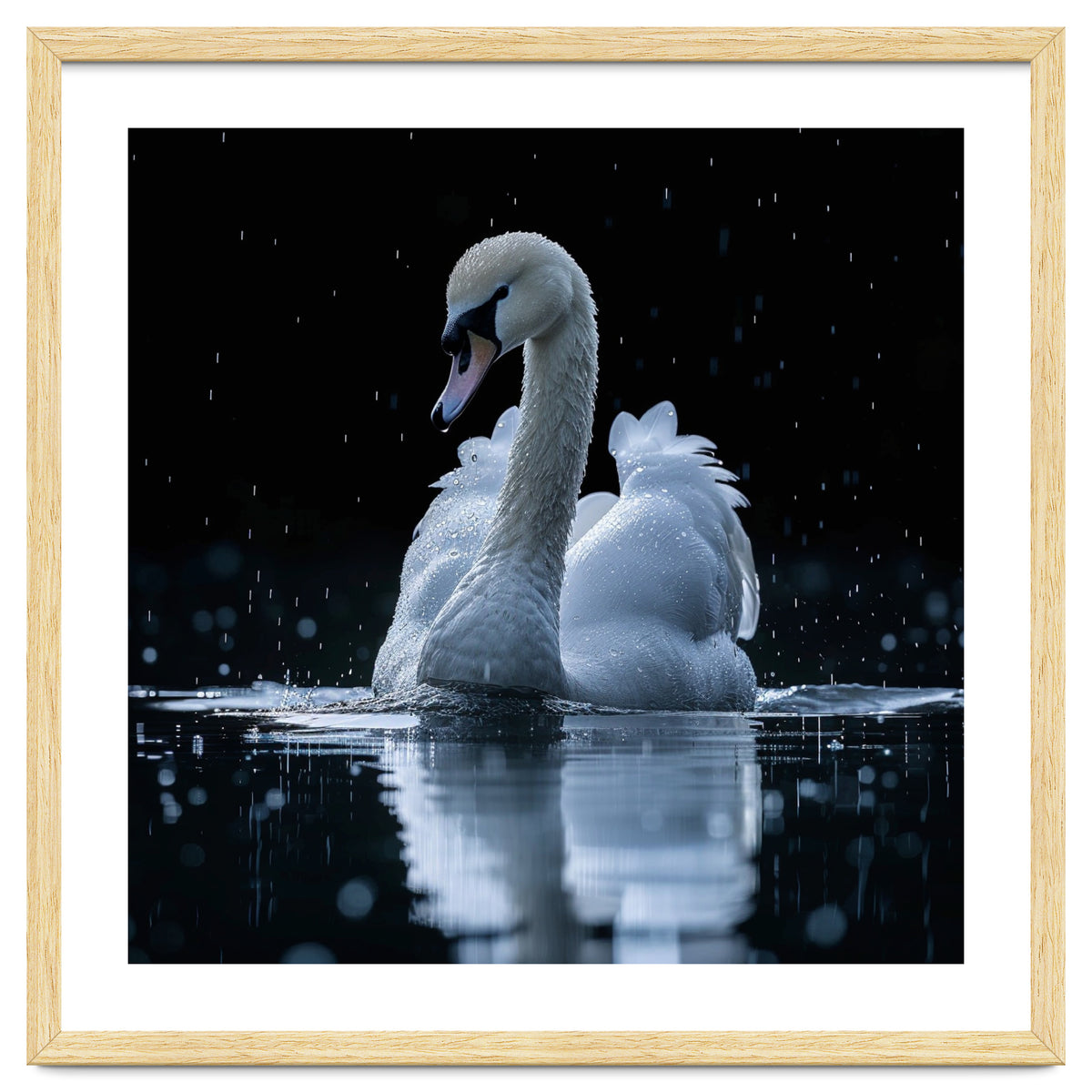 Majestic Swan Swimming In Dark Water