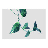Projection & Emotion (Print Only) thumbnail