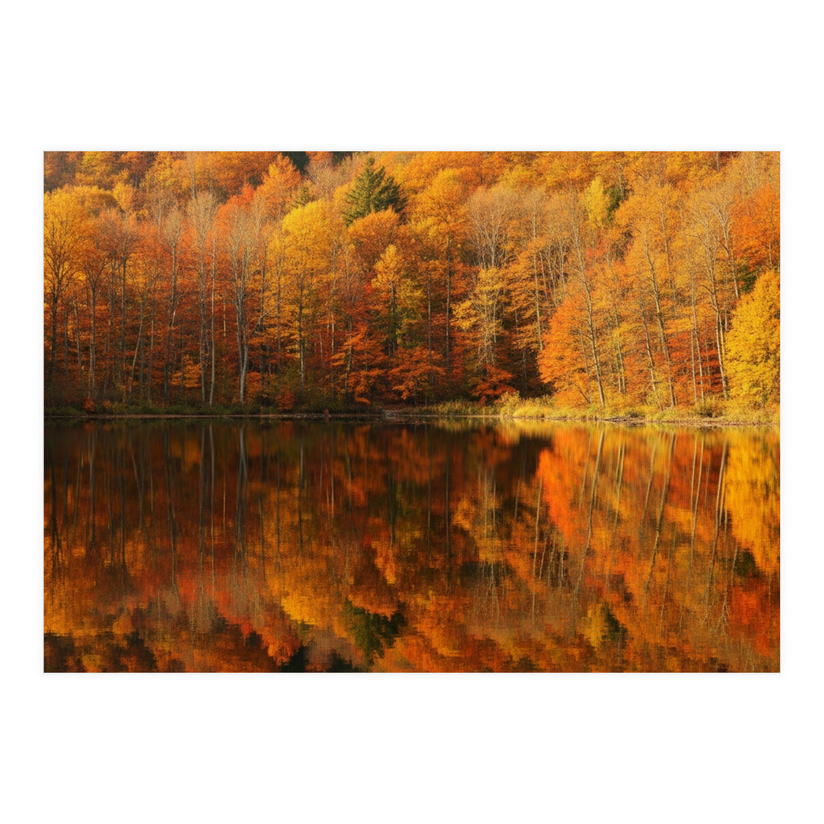 Autumn Reflections (Print Only)