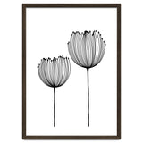 Two wildflowers thumbnail